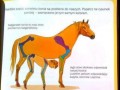 Tymczasem w podręczniku do biologii mojej młodszej siostry