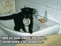 Wszystko na jego głowie