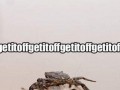 Getitoffgetitoffgetitoff