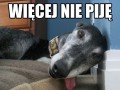 Już nie