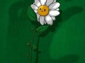 Kocha cię