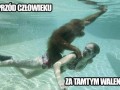 Naprzód człowieku