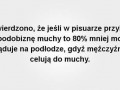 Mucha w pisuarze