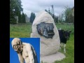 Tymczasem na kaszubach