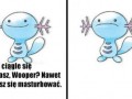 Wooper