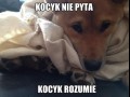 Kocyk