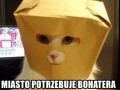 Miasto potrzebuje kogoś