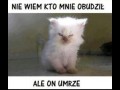 Ten ktoś zginie