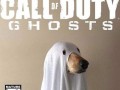 Nowy cod