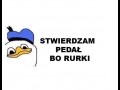 Stwierdzam pedał
