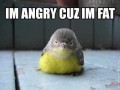 Cuz fat