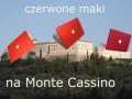 Czerwone maki