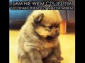 Nie wiem