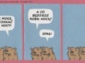 Nie mogę się doczekać nocy