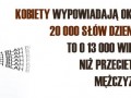 Wow ale ma sens