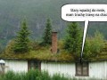 Ja jebie d