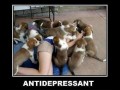 Andtydepresant