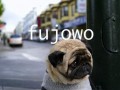 Fujowo