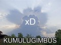Kumulugimbus