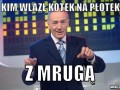 Z kim wlazł kotek na płotek