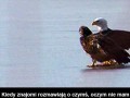 Ja i tak chcę z wami gadać