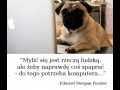 Mylić się jest rzeczą ludzką ale żeby naprawdę