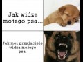 Jak to widzimy