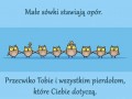 Małe sówki stawiają opór