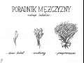 Bukiety  