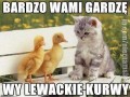Bardzo wami gardze