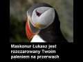 Palisz za blokiem