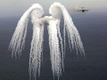 Angel wings