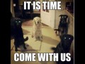 Come 1