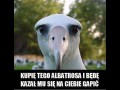 Chyba bym zwariował