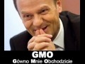 Gmo 1