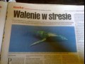 Walenie