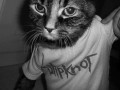 Slipknotek