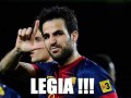 Cesc fabregas