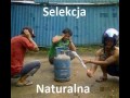 Selekcja naturalna