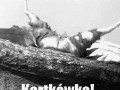 Dziś mam dla was niespodziankę