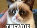 They die