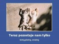 Leżing