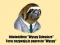 Wyspy dziewicze