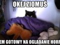 Ok zapuszczaj