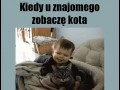 Kiedy zobaczę kota