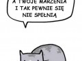 Sarkastyczny kot