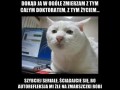 Quo vadis