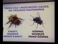 Cele i możliwości