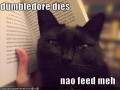 Dumbledoredies