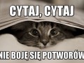Cytaj cytaj